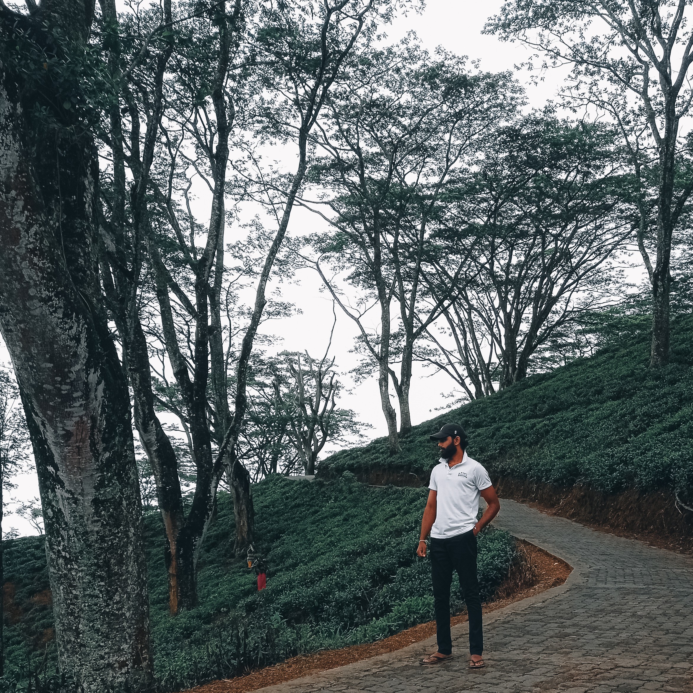 Professional portrait